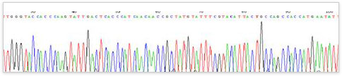 Giải trình tự ADN trên máy ABI 3500