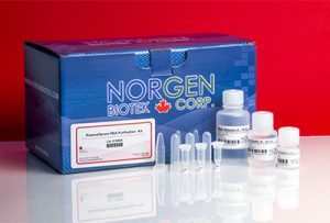 DNA RNA extraction service