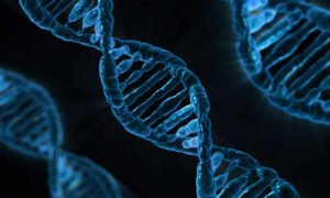 Xét nghiệm ADN phát hiện sớm bệnh di truyền
